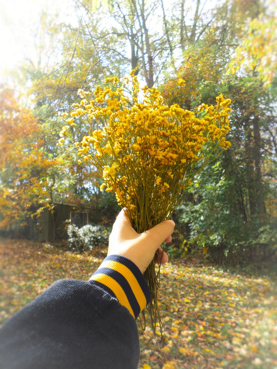 A Tad 50s, Simply Megan Joy Blog 13.jpg