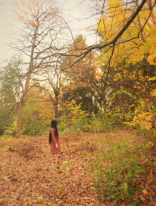 the-rust-colored-garment-10-simply-megan-joy