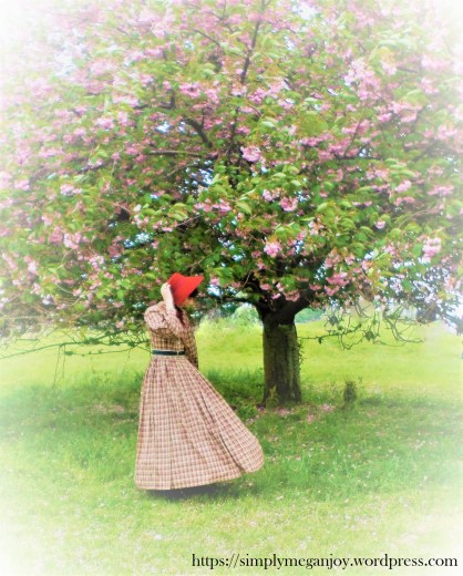 On the Waterfront  - 1863 Camp Dress - Simply Megan Joy Blog 8.JPG