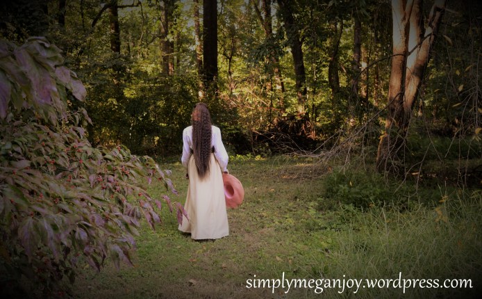 Diana of Avonlea -  Victorian Outfit - simplymeganjoy.wordpress.com 9.JPG