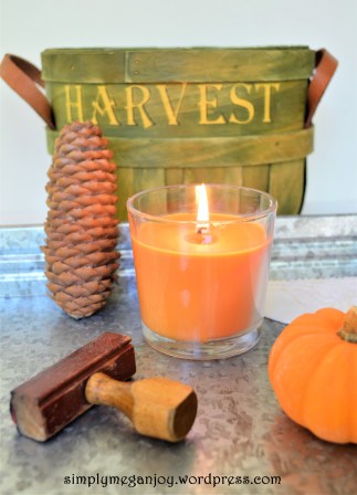 Things to Love About Autumn - simply meganjoywordpress.com 16.JPG