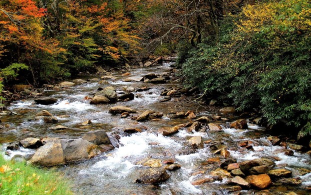 Things to Love About Autumn - simply meganjoywordpress.com 26.jpg