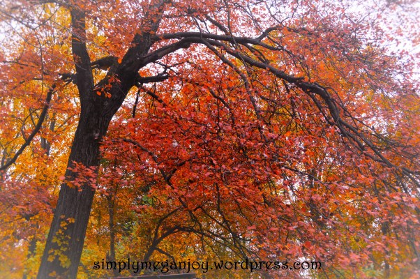 Things to Love About Autumn - simplymeganjoy.wordpress.com 18.jpg
