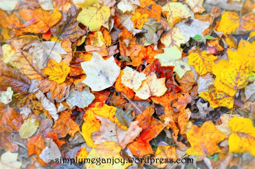 Things to Love About Autumn - simplymeganjoy.wordpress.com 19.JPG