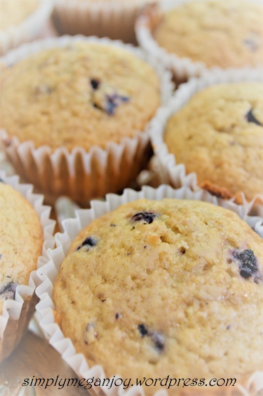 Things to Love About Autumn - simplymeganjoy.wordpress.com 21.JPG