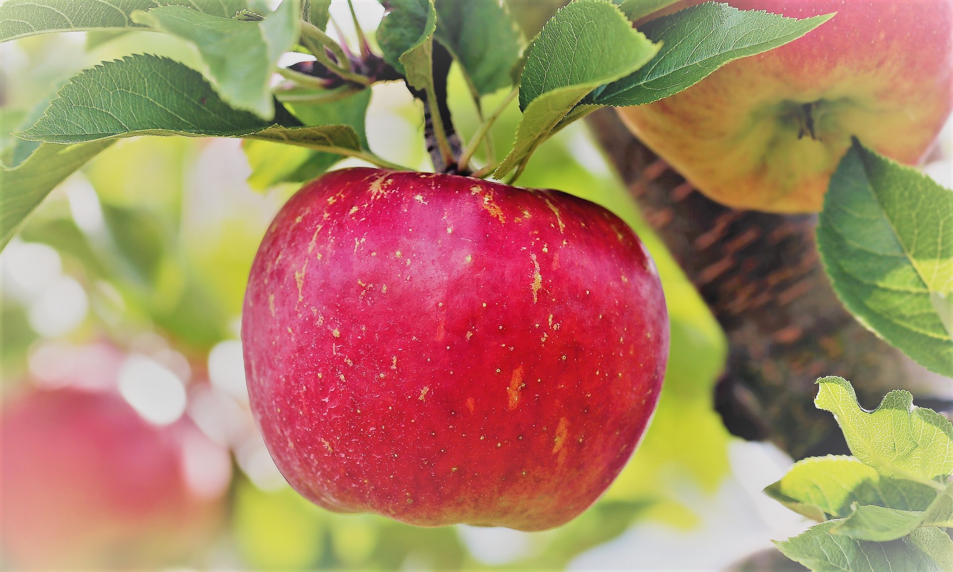 Things to Love About Autumn - simplymeganjoy.wordpress.com 22.jpg