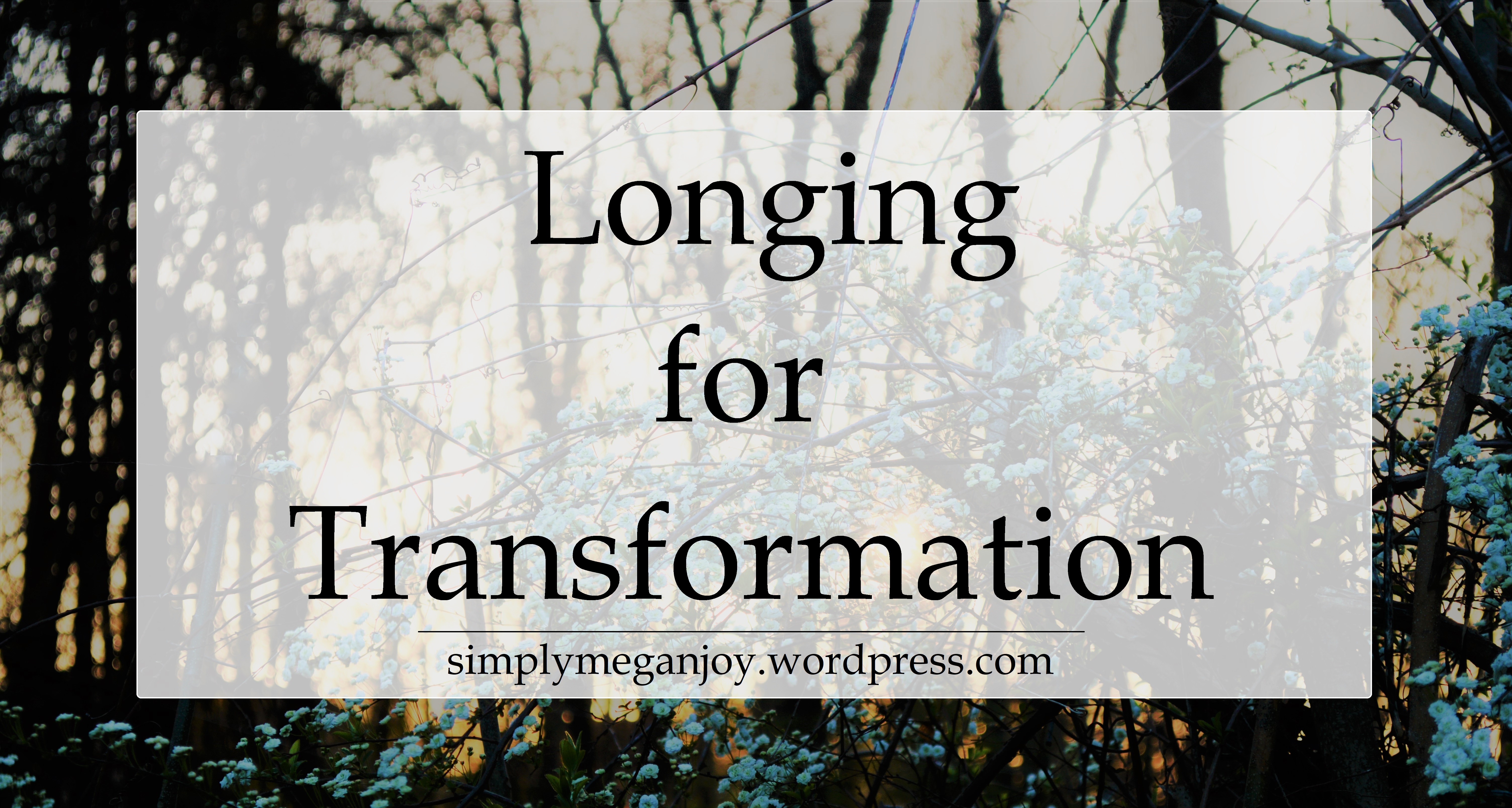 Longing for Transformation - simplymeganjoy.wordpress.com
